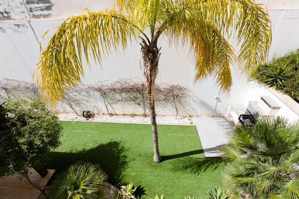 Villa Joya II San Jose  Exterior photo